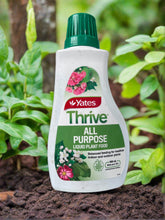Load image into Gallery viewer, Yates Thrive - 500ml