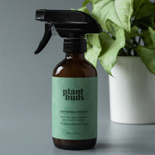 Load image into Gallery viewer, PlantBuds - Leaf shine & protect
