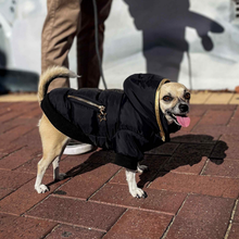Load image into Gallery viewer, Dog wearing the Huskimo Gangsta Winter Coat with removable hood