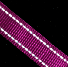 Load image into Gallery viewer, Huskimo Trekpro Leads