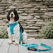 Load image into Gallery viewer, Huskimo Trekpro Leads