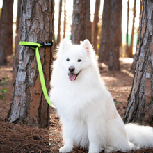 Load image into Gallery viewer, Huskimo Trekpro Leads