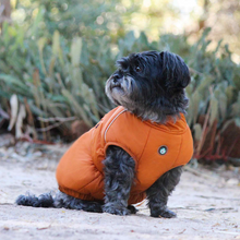 Load image into Gallery viewer, Huskimo Cardrona