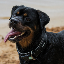 Load image into Gallery viewer, Huskimo Specialist X360 Collars