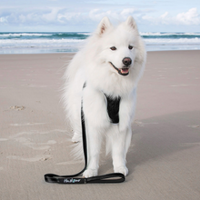 Load image into Gallery viewer, Huskimo Trekpro Leads