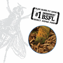 Load image into Gallery viewer, Fluval Bug Bites Tropical Flakes 45g