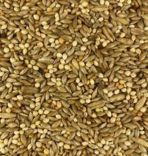 Load image into Gallery viewer, Budgie Mix