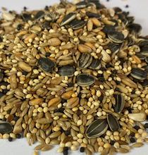 Load image into Gallery viewer, Cockatiel Mix