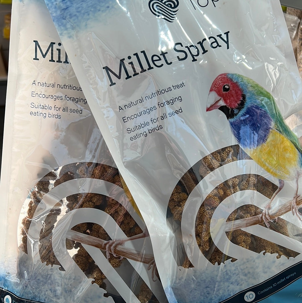 Millet Spray