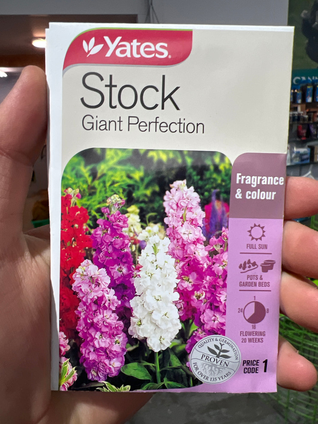 Stock