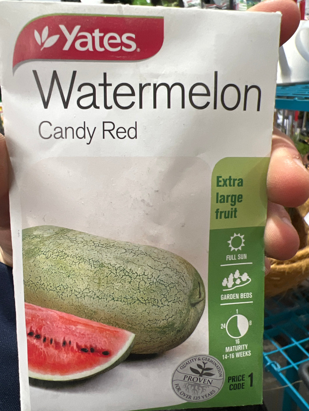 Watermelon