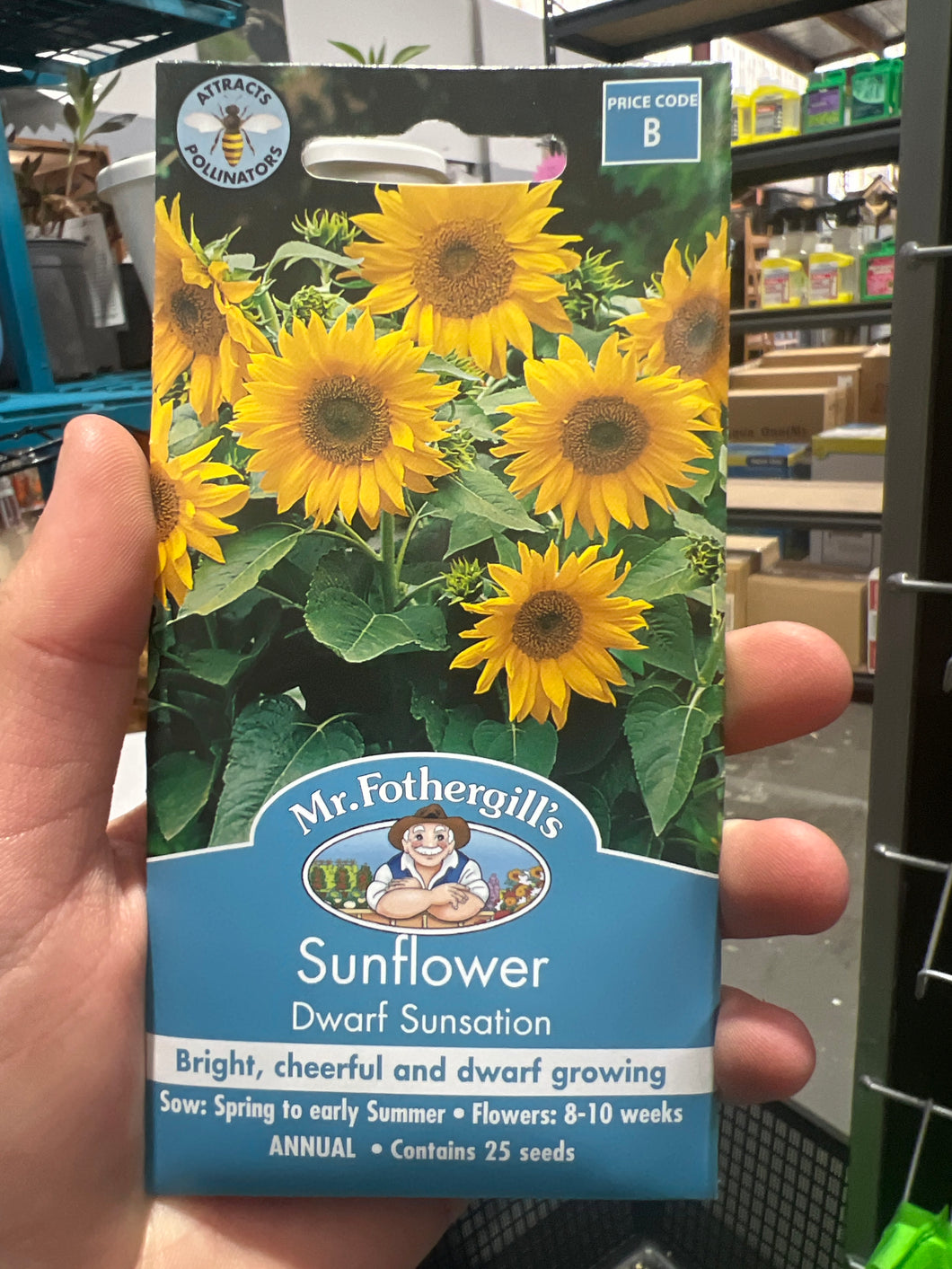 Sunflower