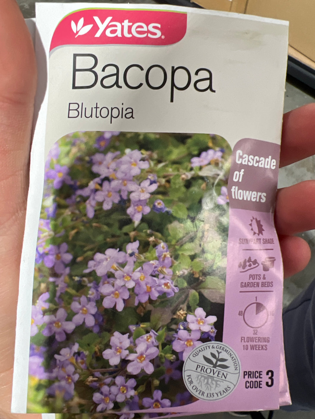 Bacopa