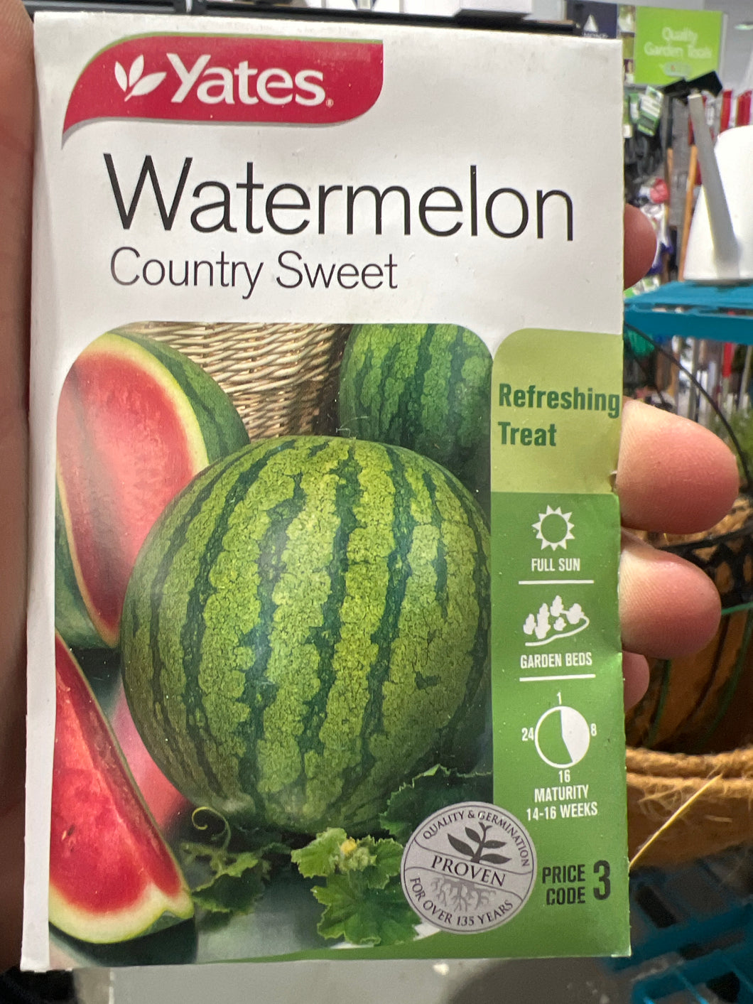 Watermelon