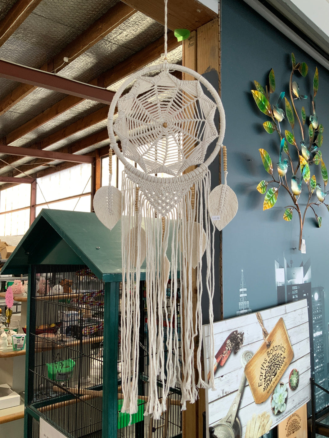 Dream Catcher
