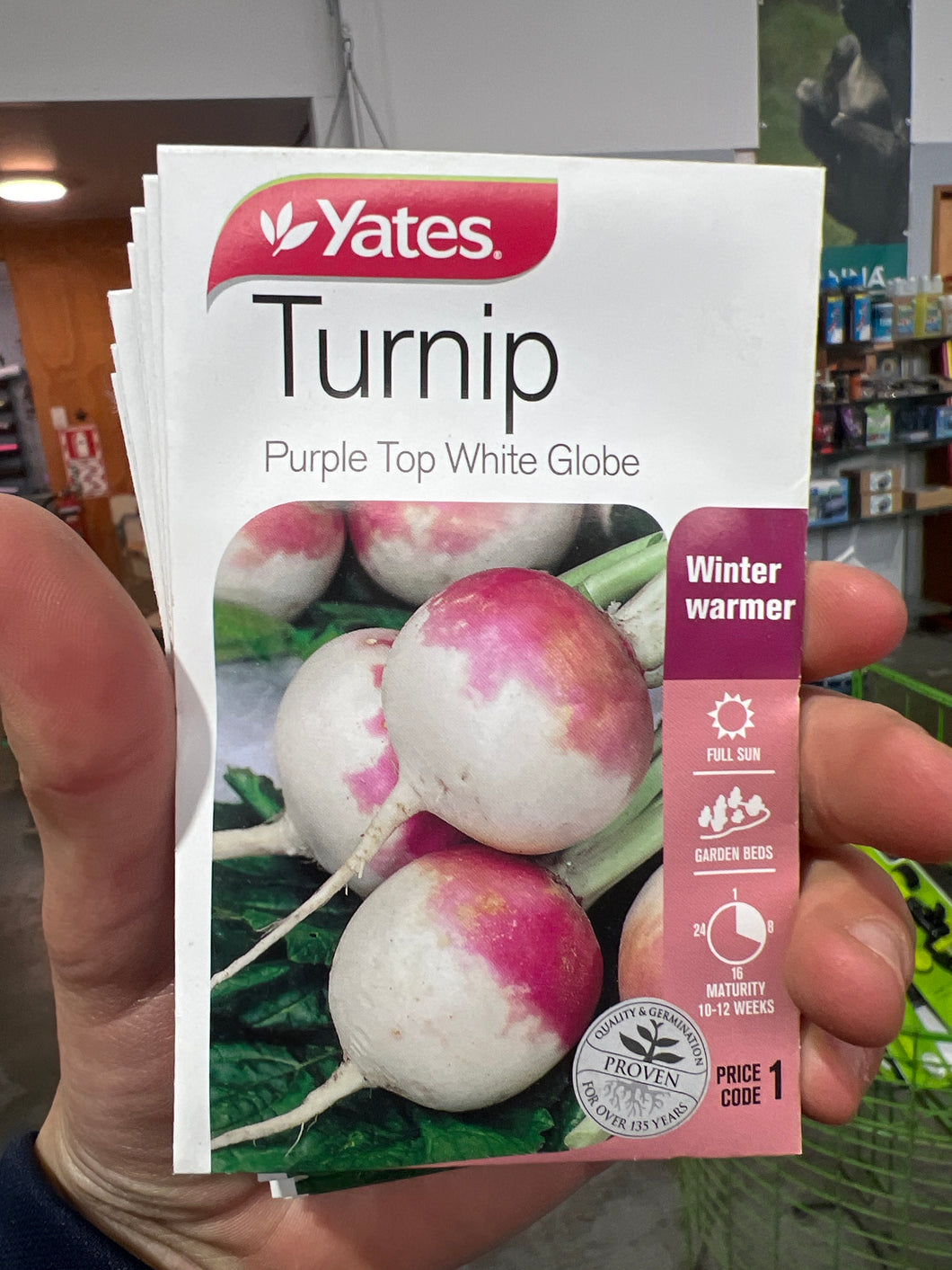 Turnip