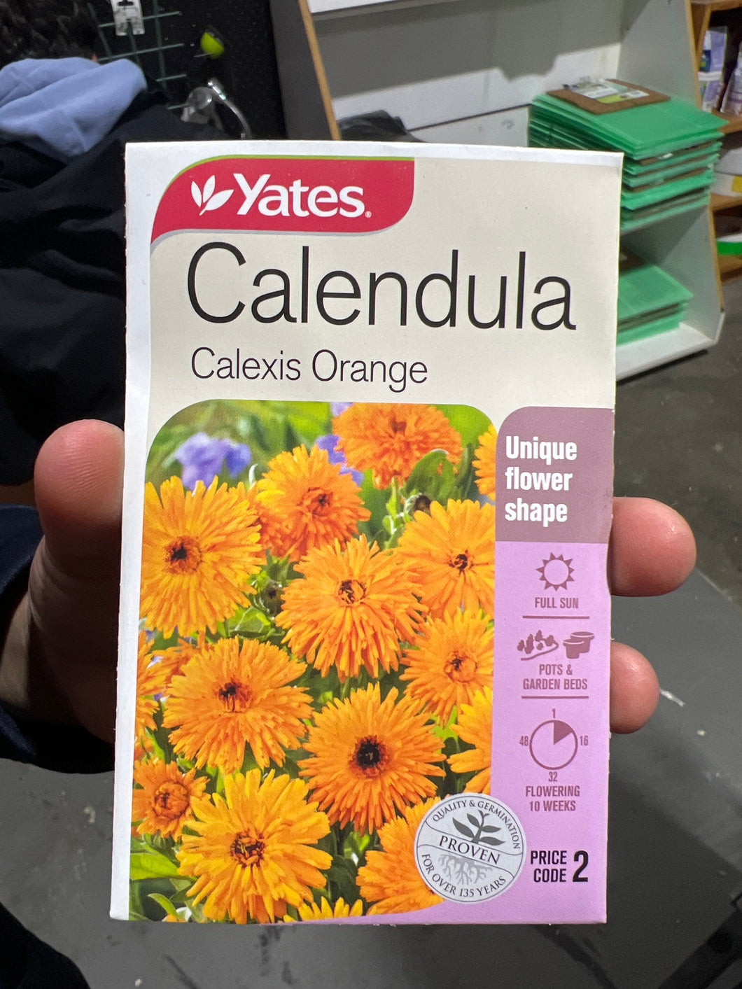 Calendula