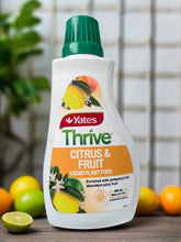 Load image into Gallery viewer, Yates Thrive - 500ml
