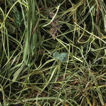 Load image into Gallery viewer, Meadow Hay 1kg (50L)
