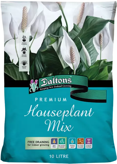 Premium Houseplant Mix