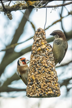 Load image into Gallery viewer, Wild Bird Seed Cones
