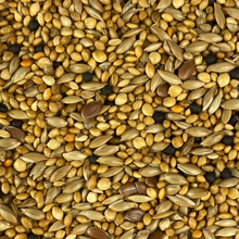 Load image into Gallery viewer, Finch Mix
