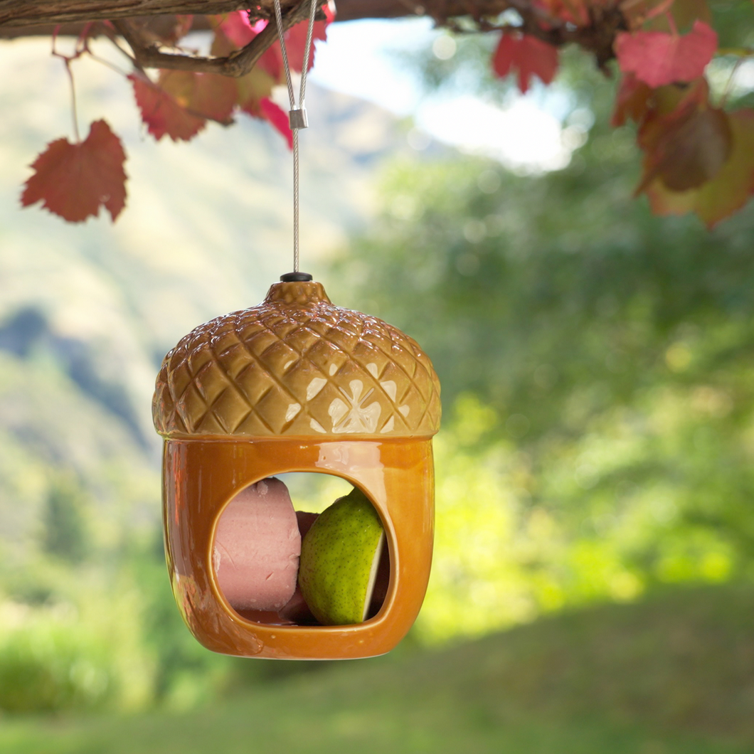 The Nut Hut