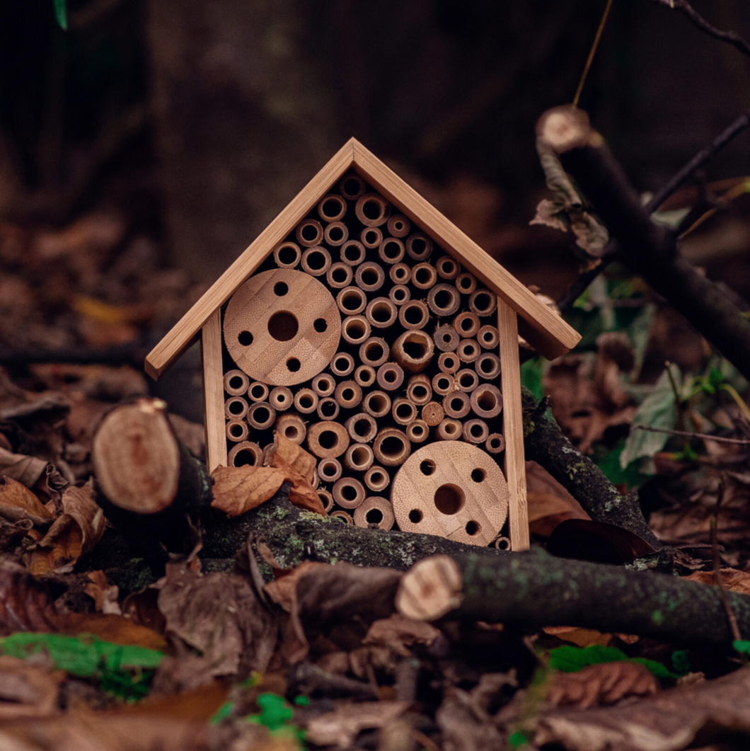 The Bug Hut