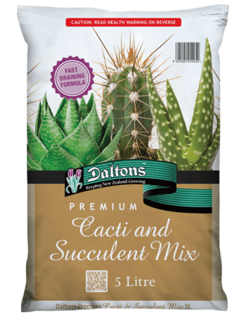 Premium Cacti & Succulent Mix
