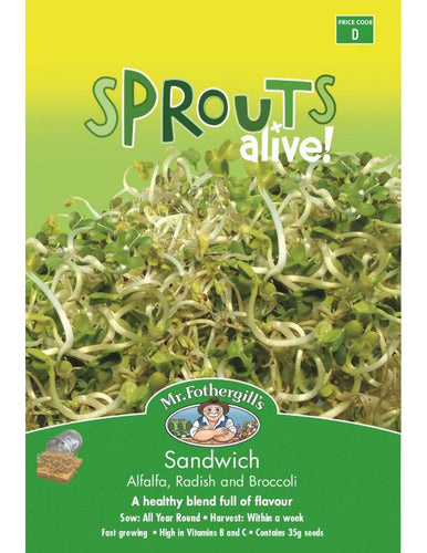 Sandwich Sprouts - Alfalfa, Radish and Broccoli. 