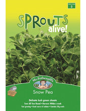 Load image into Gallery viewer, Snow Pea Sprouts - Delicate lush green shoots
