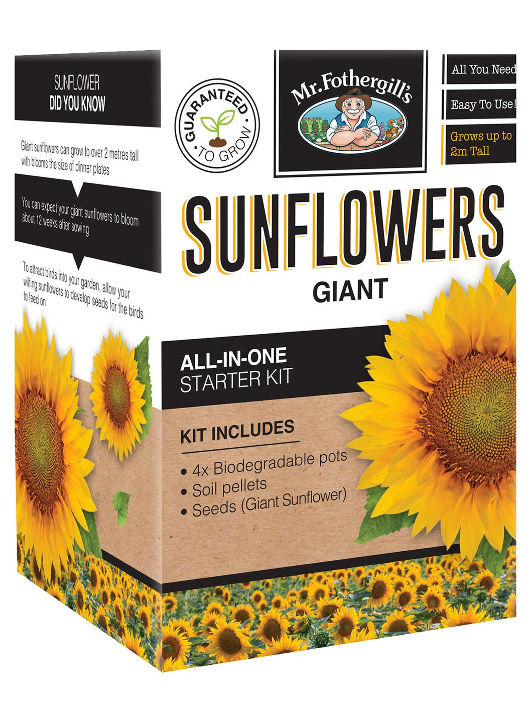 Giant Sunflower Kit