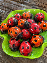 Load image into Gallery viewer, Marble Ladybirds
