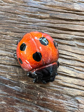 Load image into Gallery viewer, 5cm Marble Ladybird
