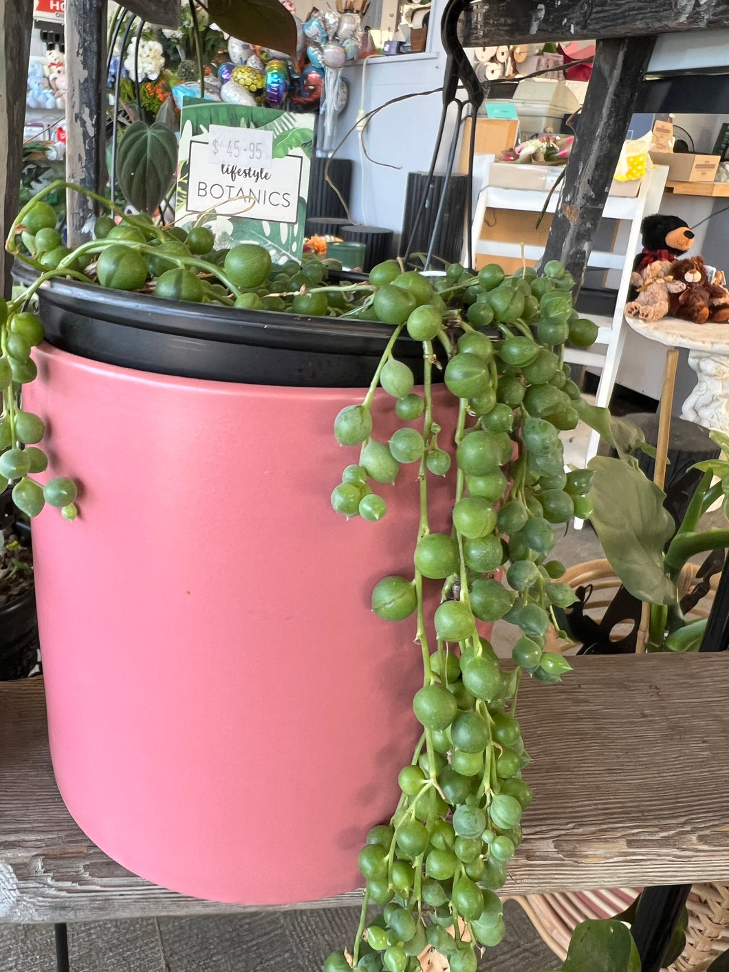 String of Pearls