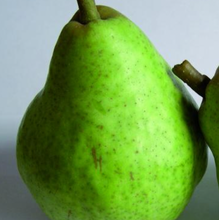 Load image into Gallery viewer, Pear - Williams Bon Chretien
