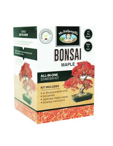 Discover serenity with Mr Fothergill's Bonsai Kits in Maple, Pine, and Jacaranda styles. Ideal for gardening enthusiasts, these kits include everything you need to grow your own bonsai – 4 biodegradable pots, soil pellets, seeds, and instructions. Available at Campbells Garden Centre, 20 Medway Street, Gore