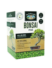 Load image into Gallery viewer, Discover serenity with Mr Fothergill&#39;s Bonsai Kits in Maple, Pine, and Jacaranda styles. Ideal for gardening enthusiasts, these kits include everything you need to grow your own bonsai – 4 biodegradable pots, soil pellets, seeds, and instructions. Available at Campbells Garden Centre, 20 Medway Street, Gore
