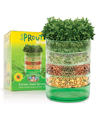 Seed Sprouter, healthy sprouts